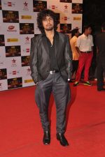 Sonu Nigam at Big Star Awards red carpet in Mumbai on 16th Dec 2012,1 (53).JPG